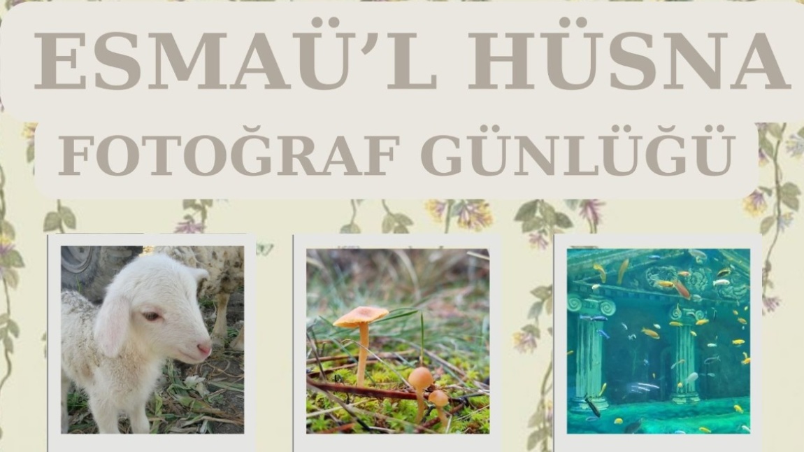 ESMAÜ'L HÜSNA FOTOĞRAF GÜNLÜĞÜ E-TWİNNİNG PROJESİ